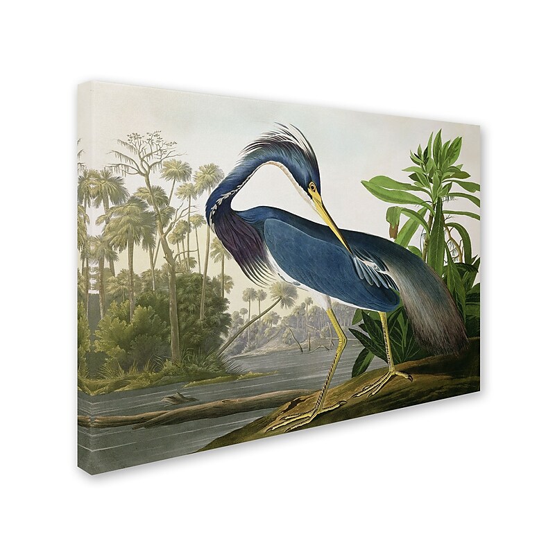 Trademark Fine Art 'Louisiana Heron' 18" x 24" Canvas Art image 1