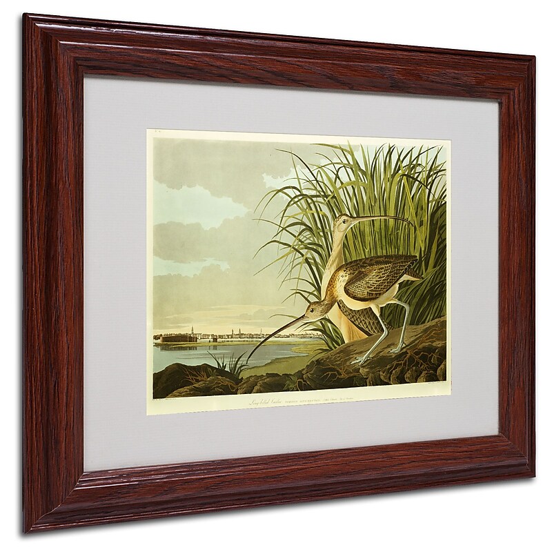 Trademark Fine Art 'Long Billed Curlew' 11" x 14" Wood Frame Art image 1