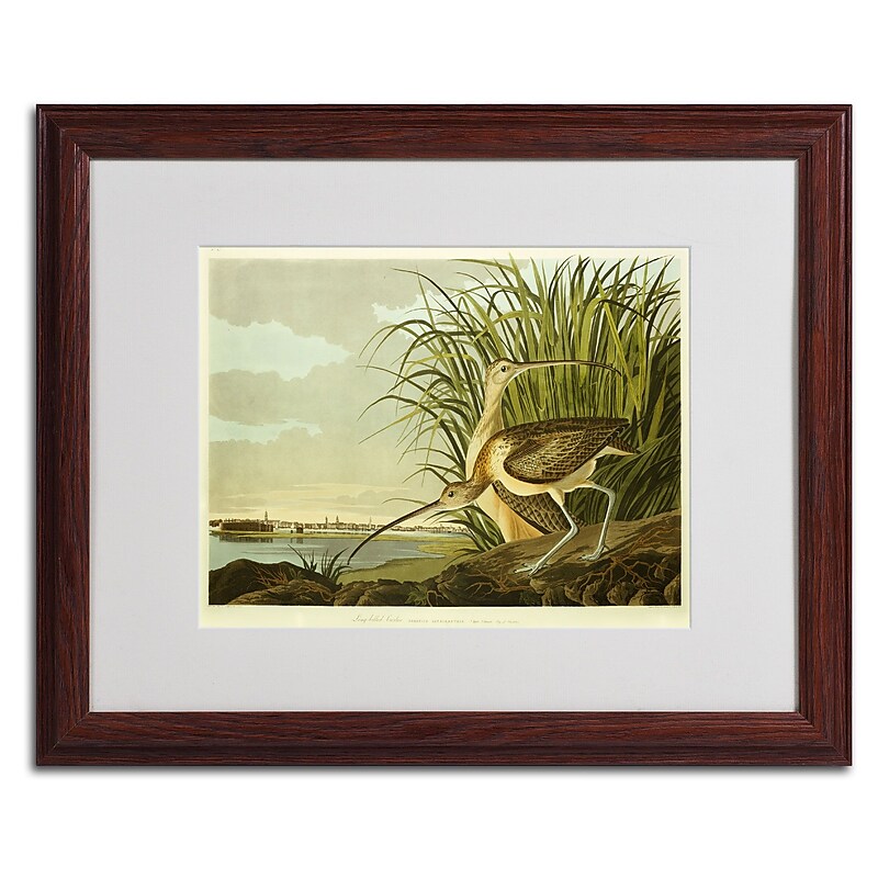 Trademark Fine Art 'Long Billed Curlew' 16" x 20" Wood Frame Art image 1