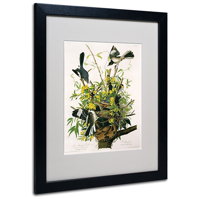 Trademark Fine Art 'Mocking Birds and Snake II' 16" x 20" Black Frame Art image 1