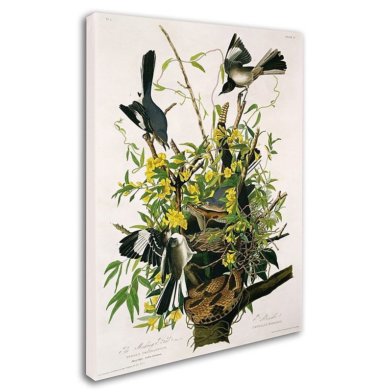 Trademark Fine Art 'Mocking Birds and Snake II' 18" x 24" Canvas Art image 1