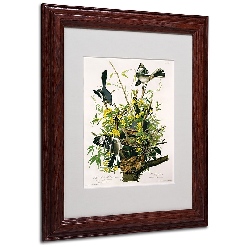 Trademark Fine Art 'Mocking Birds and Snake II' 11" x 14" Wood Frame Art image 1