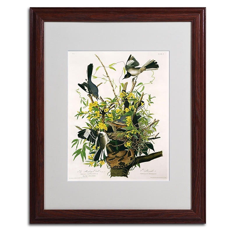 Trademark Fine Art 'Mocking Birds and Snake II' 16" x 20" Wood Frame Art image 1
