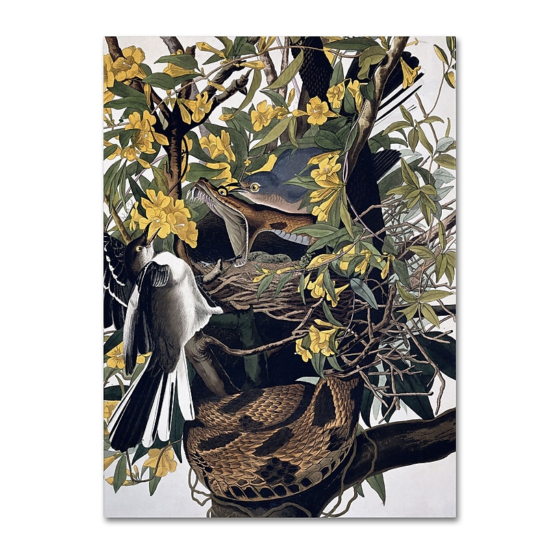 Trademark Fine Art 'Mocking Birds and Snake' 35" x 47" Canvas Art image 1