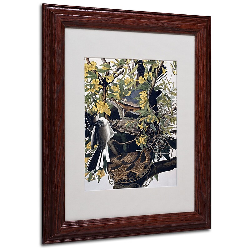 Trademark Fine Art 'Mocking Birds and Snake' 11" x 14" Wood Frame Art image 1