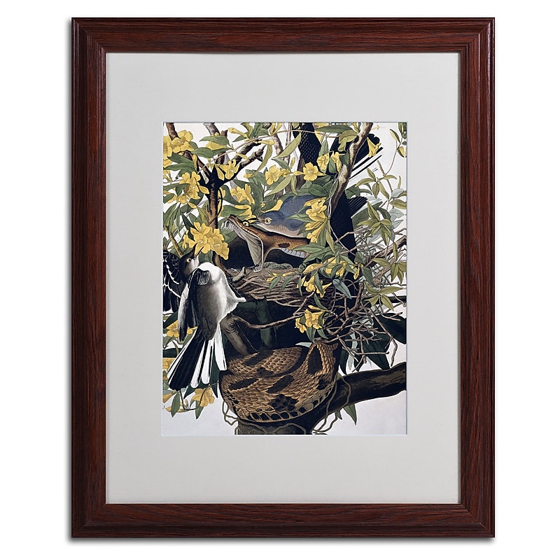 Trademark Fine Art 'Mocking Birds and Snake' 16" x 20" Wood Frame Art image 1