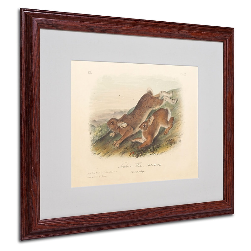 Trademark Fine Art 'Northern Hare' 16" x 20" Wood Frame Art image 1
