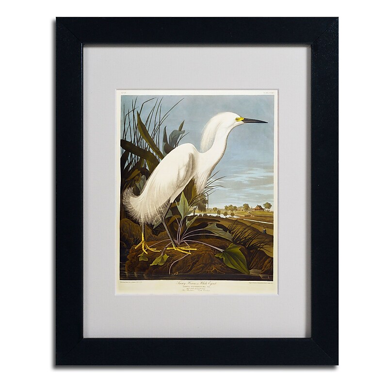 Trademark Fine Art 'Snowy Heron' 11" x 14" Black Frame Art image 1