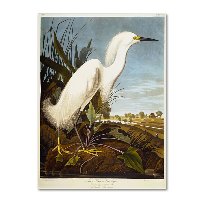 Trademark Fine Art 'Snowy Heron' 14" x 19" Canvas Art image 1