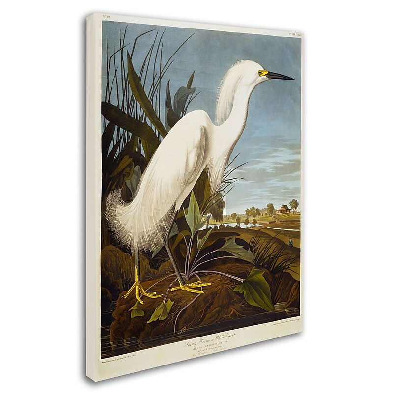 Trademark Fine Art 'Snowy Heron' 35" x 47" Canvas Art image 1