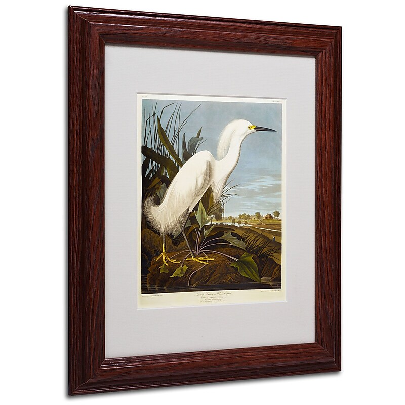 Trademark Fine Art 'Snowy Heron' 11" x 14" Wood Frame Art image 1