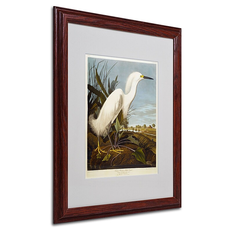 Trademark Fine Art 'Snowy Heron' 16" x 20" Wood Frame Art image 1