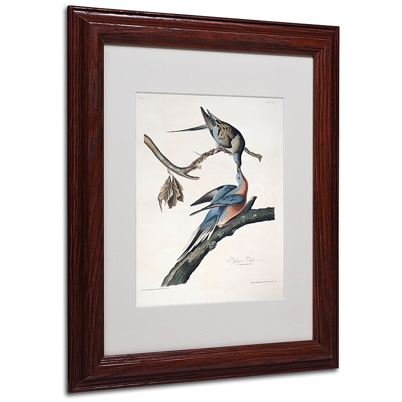 Trademark Fine Art 'Passenger Pigeon' 11" x 14" Wood Frame Art image 1