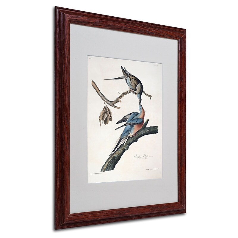 Trademark Fine Art 'Passenger Pigeon' 16" x 20" Wood Frame Art image 1