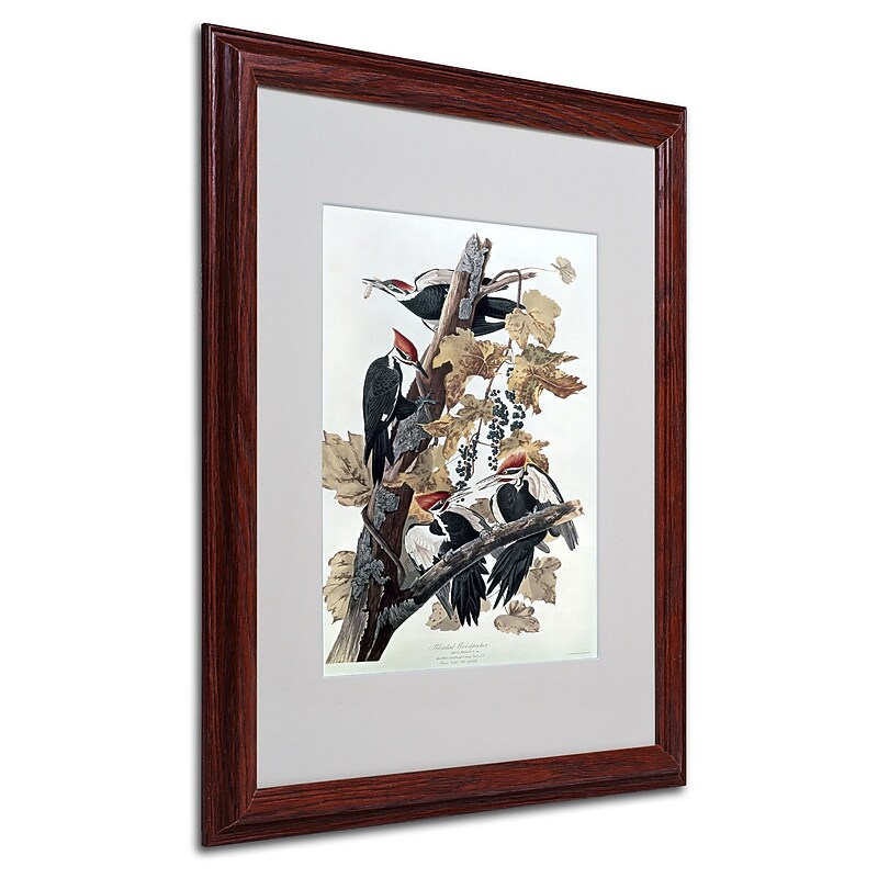 Trademark Fine Art 'Pileated Woodpeckers' 16" x 20" Wood Frame Art image 1