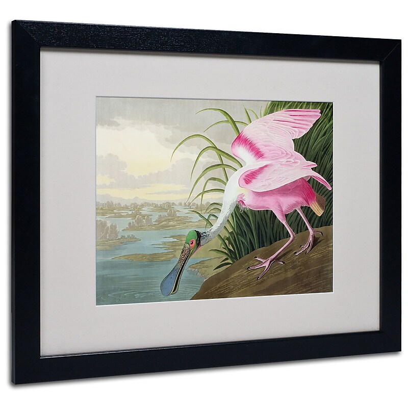 Trademark Fine Art 'Roseate Spoonbill' 16" x 20" Black Frame Art image 1