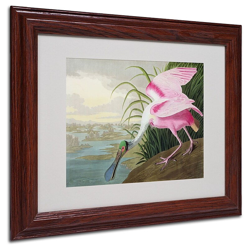 Trademark Fine Art 'Roseate Spoonbill' 11" x 14" Wood Frame Art image 1
