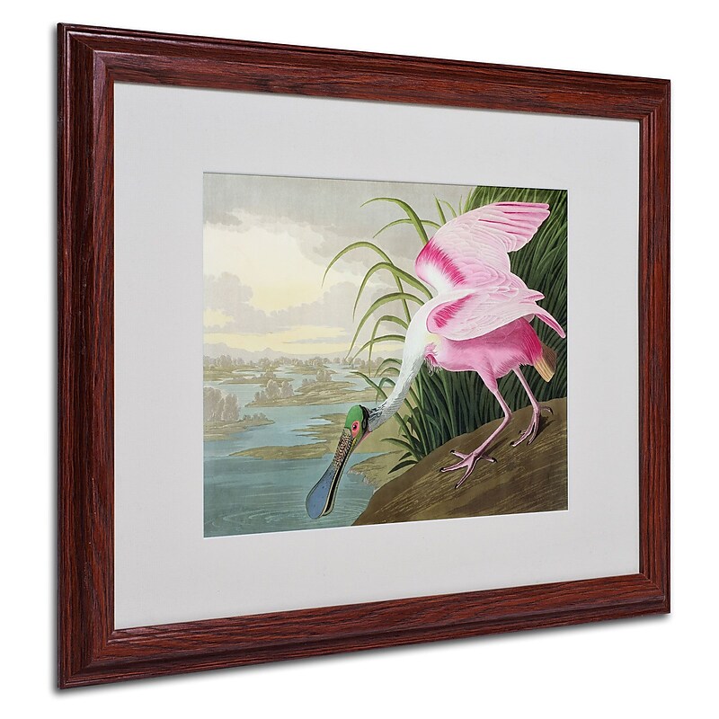 Trademark Fine Art 'Roseate Spoonbill' 16" x 20" Wood Frame Art image 1
