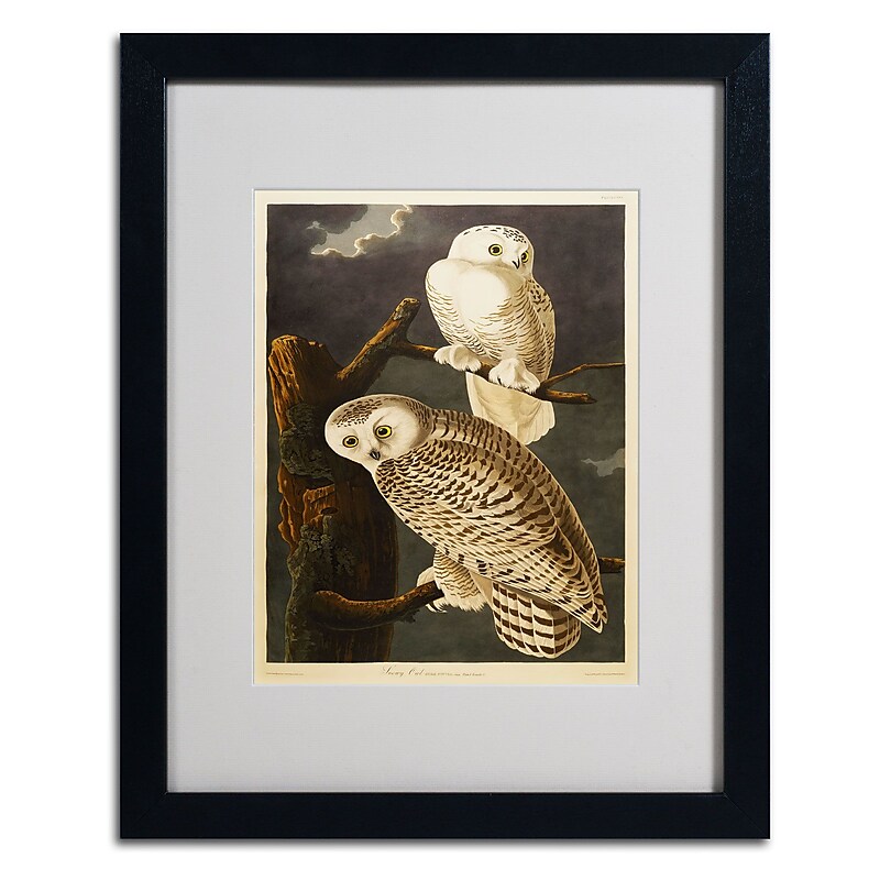 Trademark Fine Art 'Snowy Owl' 16" x 20" Black Frame Art image 1