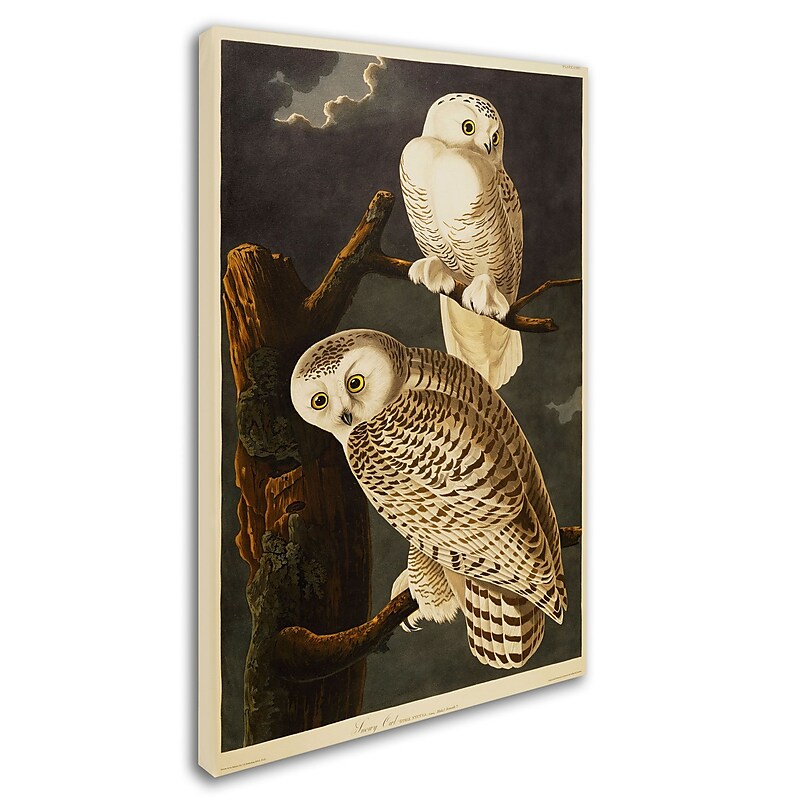 Trademark Fine Art 'Snowy Owl' 16" x 24" Canvas Art image 1