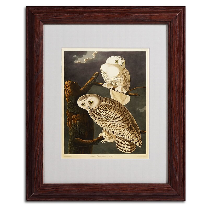 Trademark Fine Art 'Snowy Owl' 11" x 14" Wood Frame Art image 1