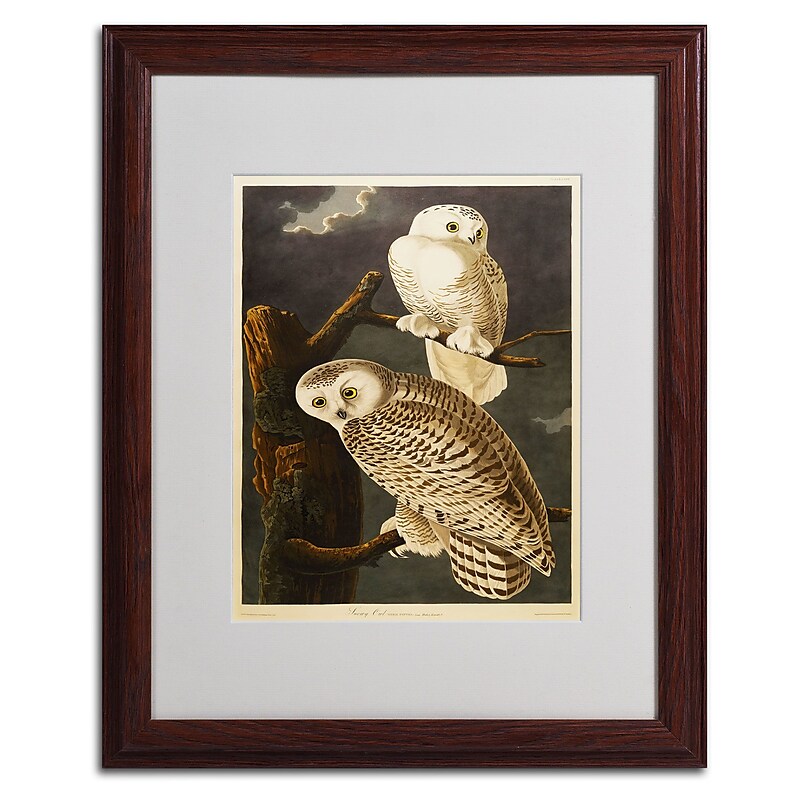 Trademark Fine Art 'Snowy Owl' 16" x 20" Wood Frame Art image 1