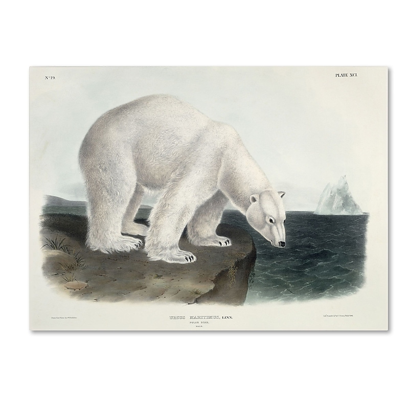 Trademark Fine Art 'Ursus Maritimus Polar Bear' 24" x 32" Canvas Art image 1