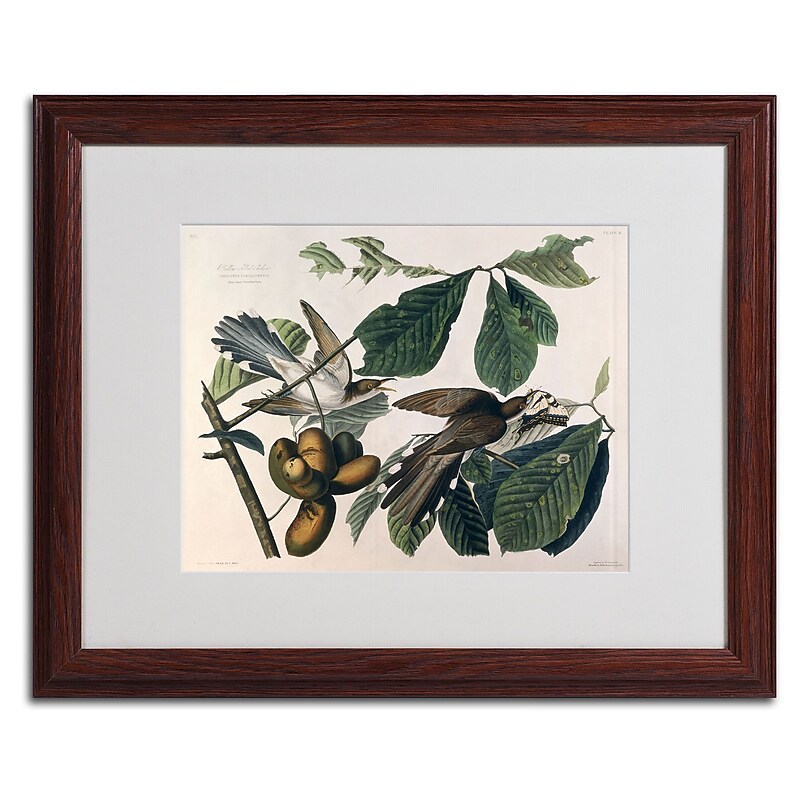 Trademark Fine Art 'Yellow-Billed Cuckoo' 16" x 20" Wood Frame Art image 1