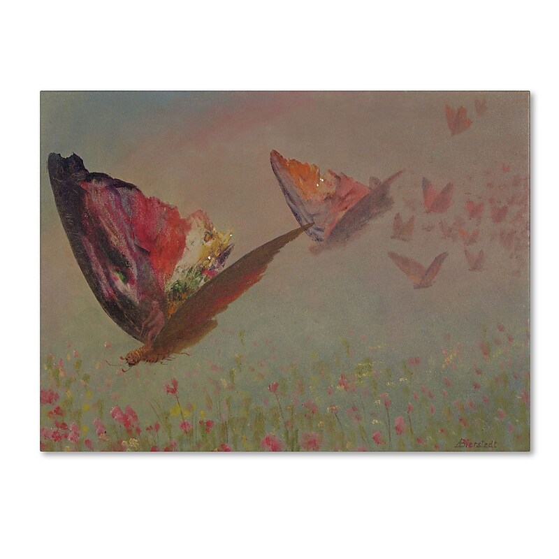 Trademark Fine Art 'Butterflies With Riders' 35" x 47" Canvas Art image 1
