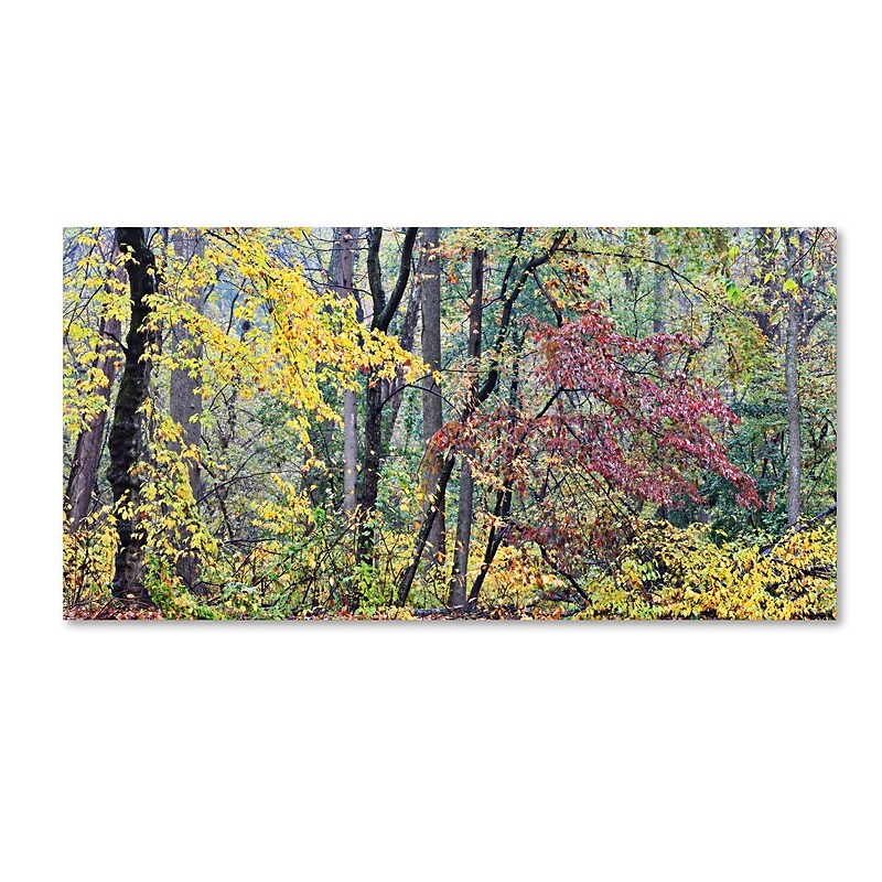 Trademark Fine Art 'Autumn Mist' 10" x 19" Canvas Art image 1