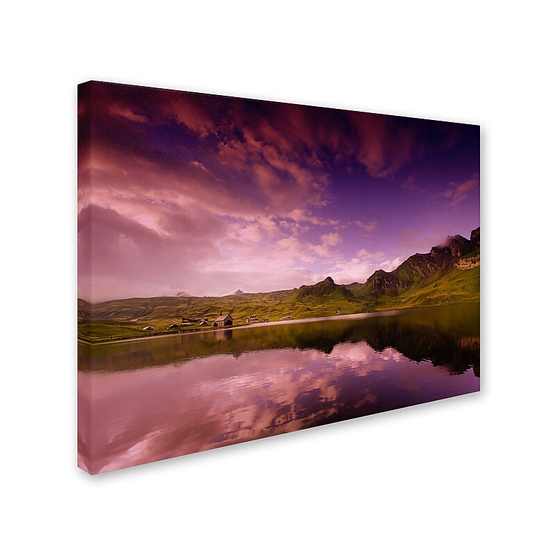 Trademark Fine Art 'Beyond the Purple Sky' 14" x 19" Canvas Art image 1