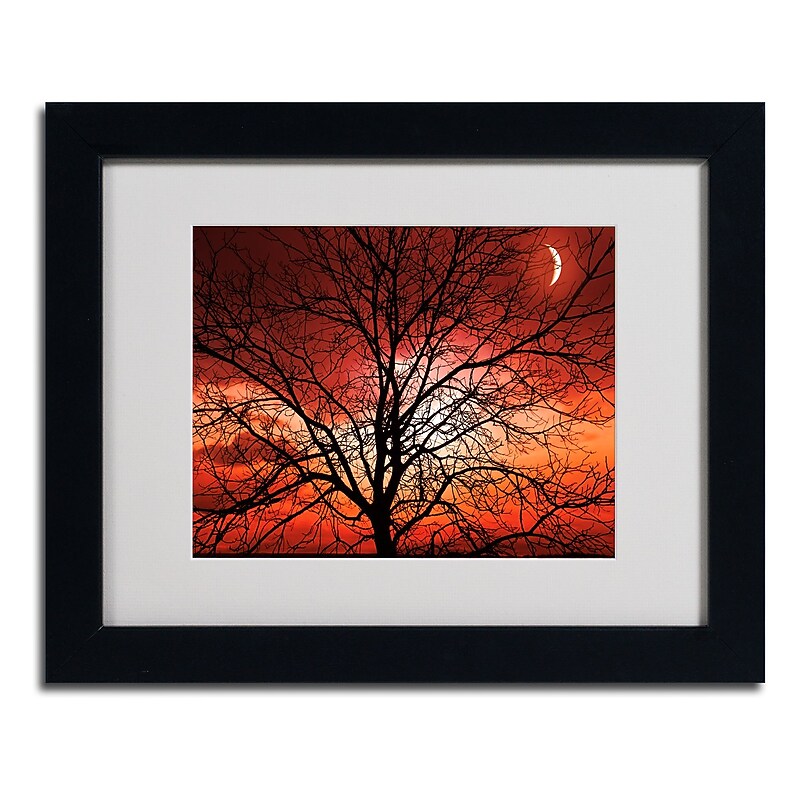 Trademark Fine Art 'Big Bad Moon' 11" x 14" Black Frame Art image 1