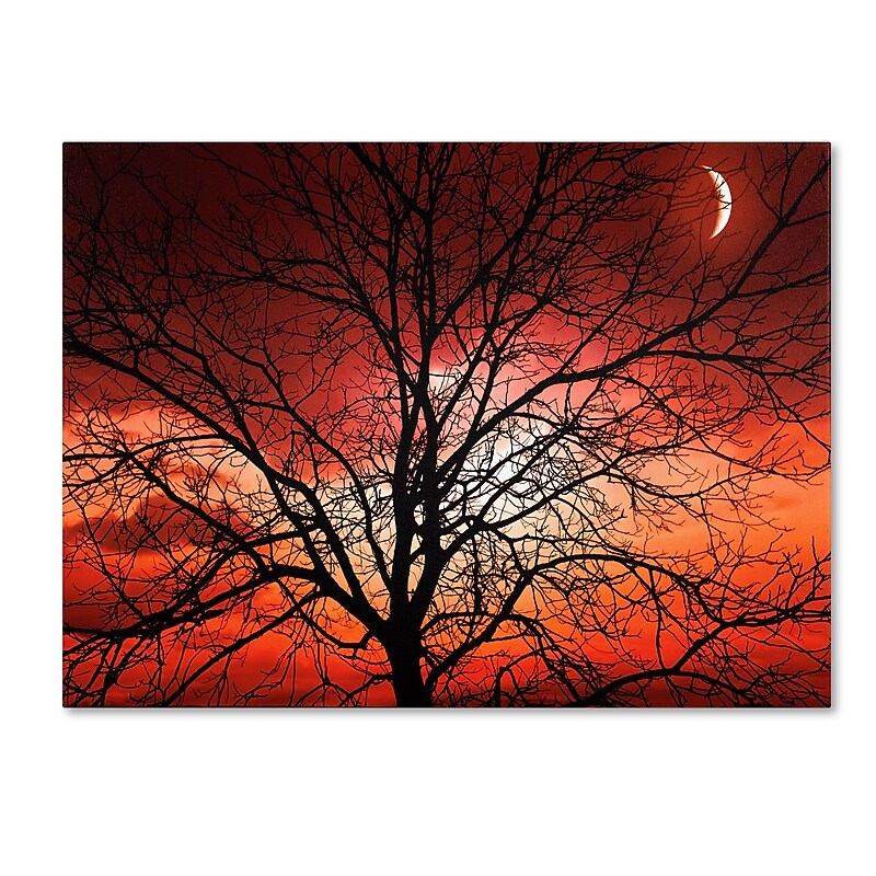 Trademark Fine Art 'Big Bad Moon' 16" x 24" Canvas Art image 1