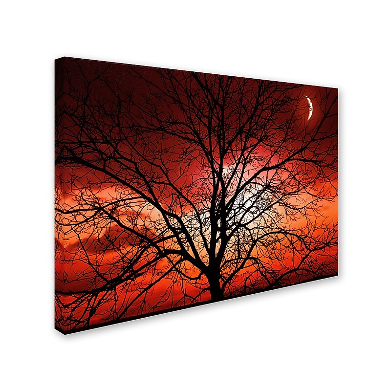 Trademark Fine Art 'Big Bad Moon' 14" x 19" Canvas Art image 1
