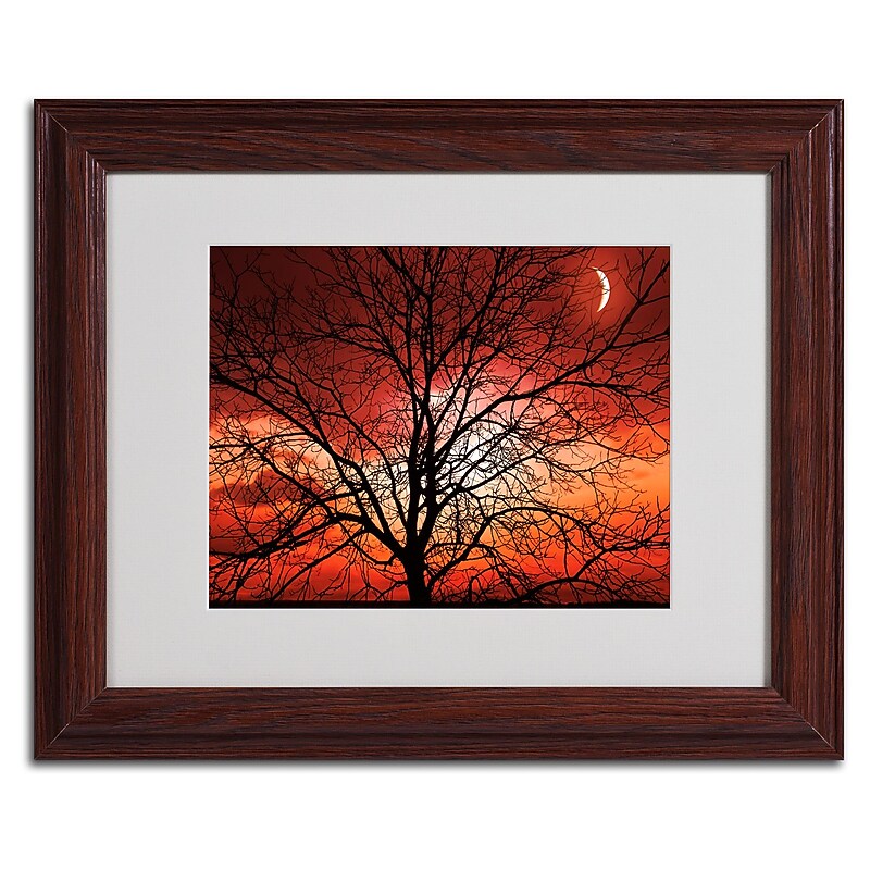 Trademark Fine Art 'Big Bad Moon' 11" x 14" Wood Frame Art image 1