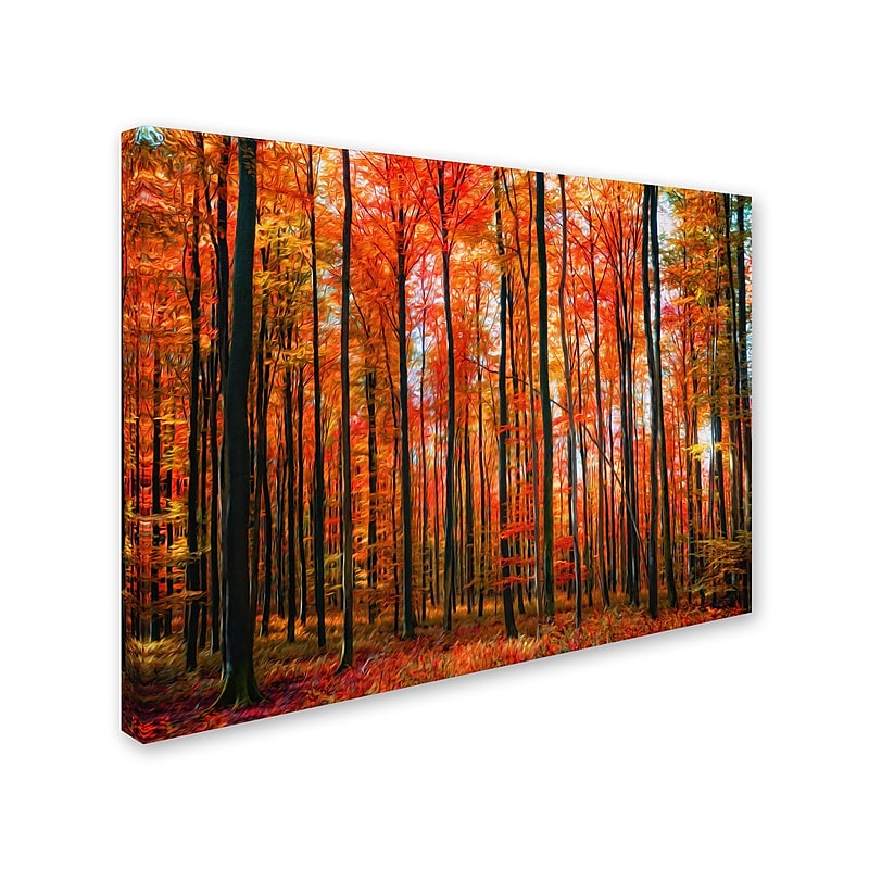 Trademark Fine Art 'Dominated' 30" x 47" Canvas Art image 1