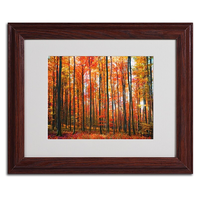 Trademark Fine Art 'Dominated' 11" x 14" Wood Frame Art image 1