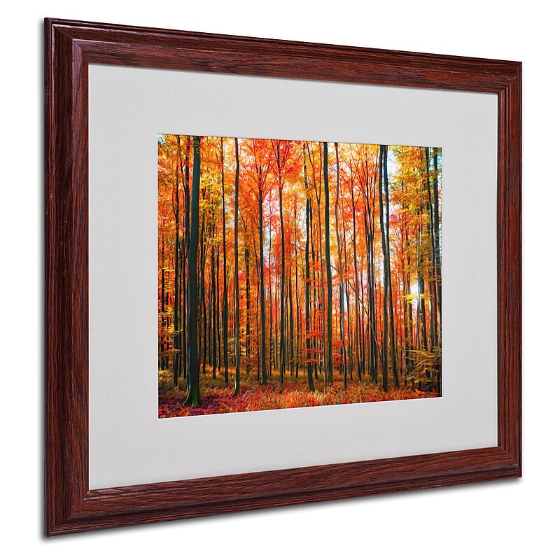 Trademark Fine Art 'Dominated' 16" x 20" Wood Frame Art image 1