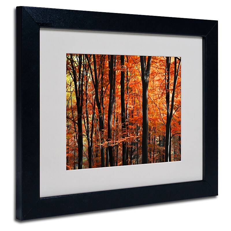 Trademark Fine Art 'Indisputable Truth' 11" x 14" Black Frame Art image 1