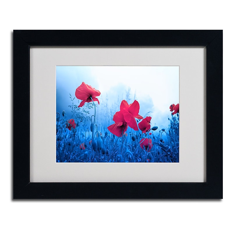 Trademark Fine Art 'Jam for Poppies' 11" x 14" Black Frame Art image 1
