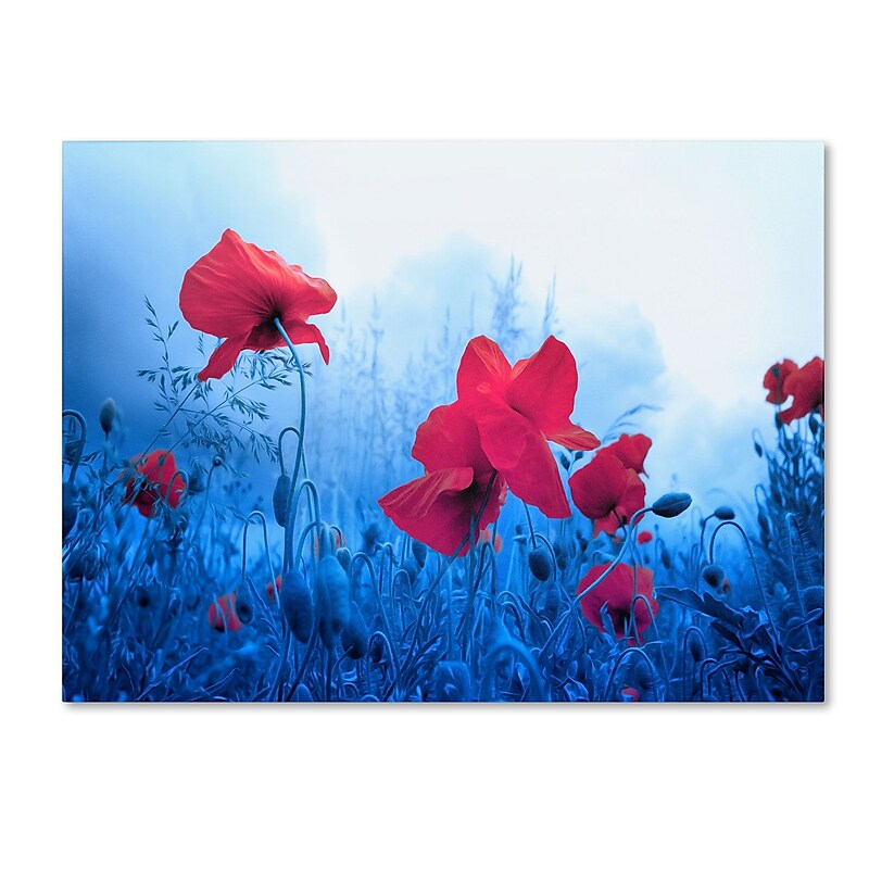 Trademark Fine Art 'Jam for Poppies' 16" x 24" Canvas Art image 1