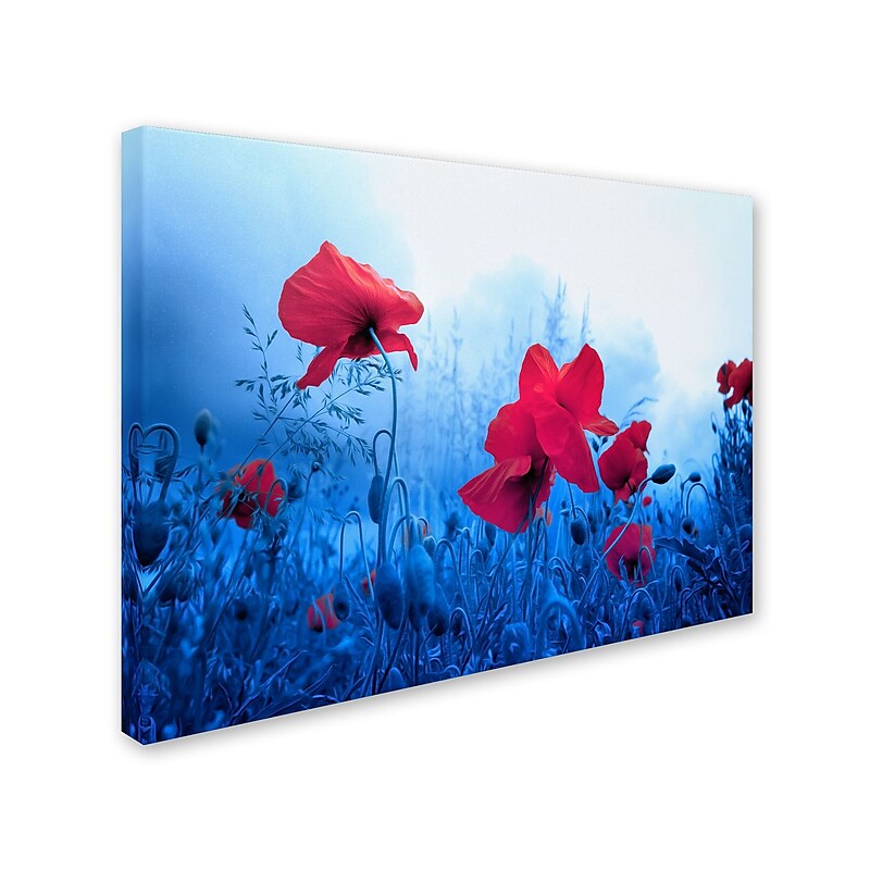 Trademark Fine Art 'Jam for Poppies' 30" x 47" Canvas Art image 1