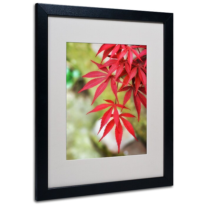 Trademark Fine Art 'Japanese Maple' 16