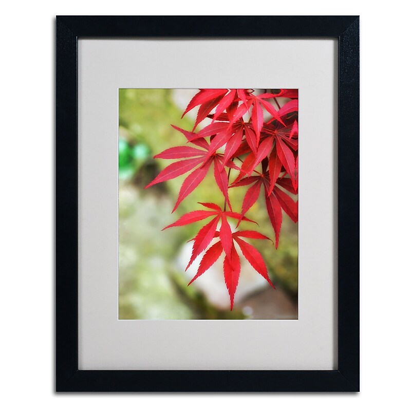 Trademark Fine Art 'Japanese Maple' 16" x 20" Black Frame Art image 1