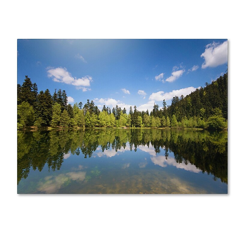 Trademark Fine Art 'Lake Maix' 30" x 47" Canvas Art image 1