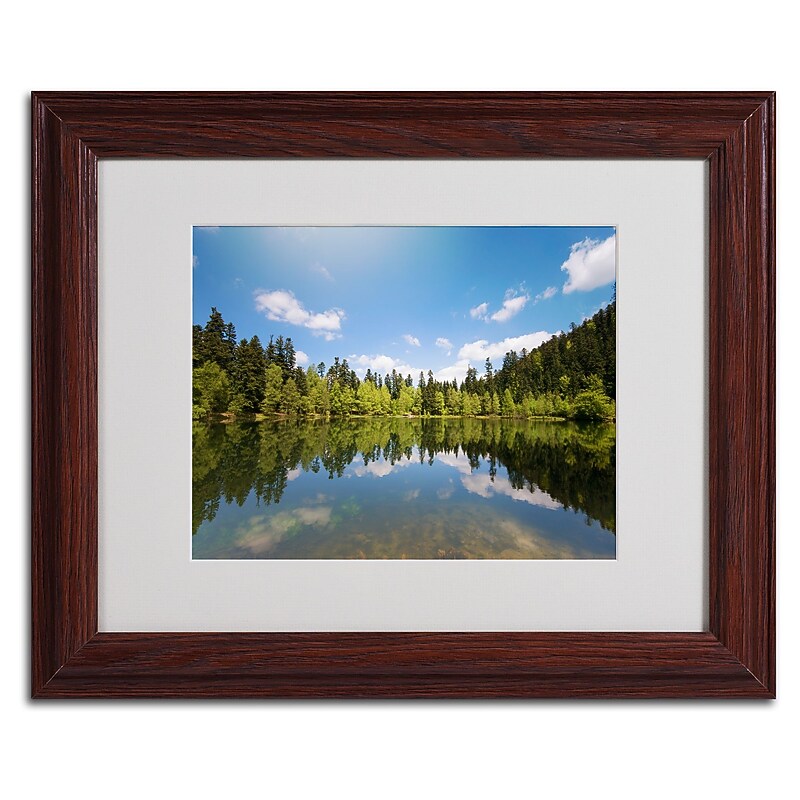 Trademark Fine Art 'Lake Maix' 11" x 14" Wood Frame Art image 1