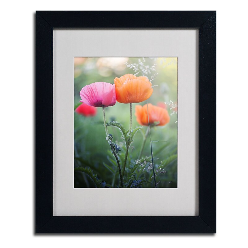 Trademark Fine Art 'Love Me Again' 11" x 14" Black Frame Art image 1