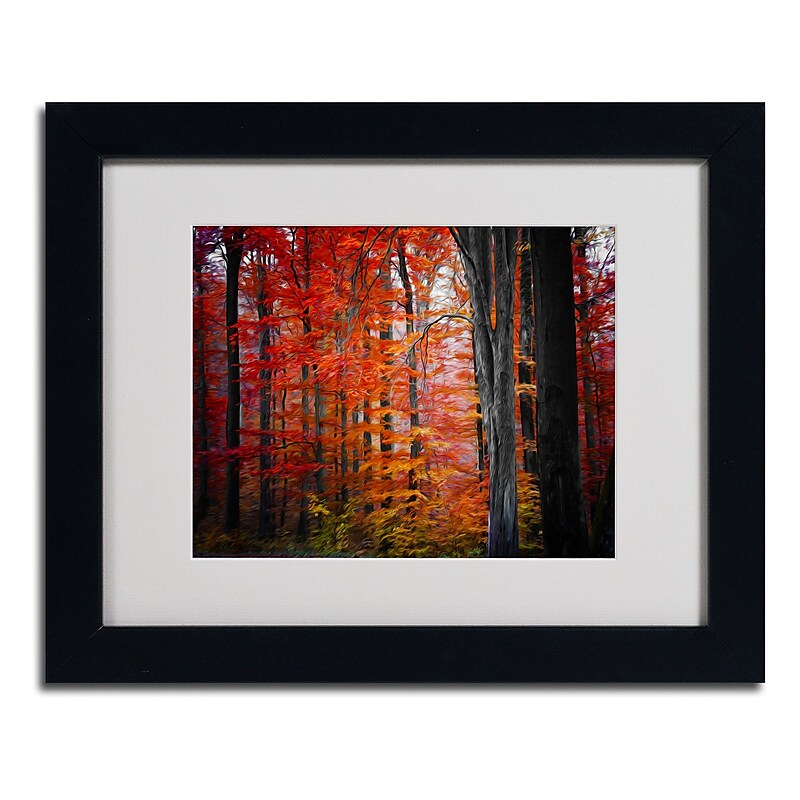 Trademark Fine Art 'No Title' 11" x 14" Black Frame Art image 1