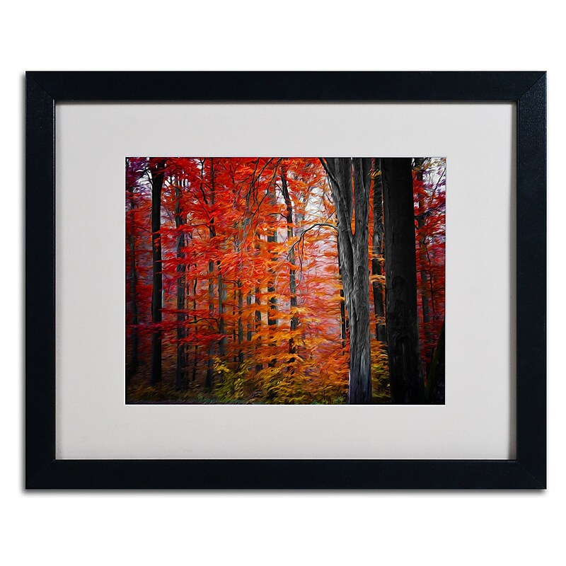 Trademark Fine Art 'No Title' 16" x 20" Black Frame Art image 1