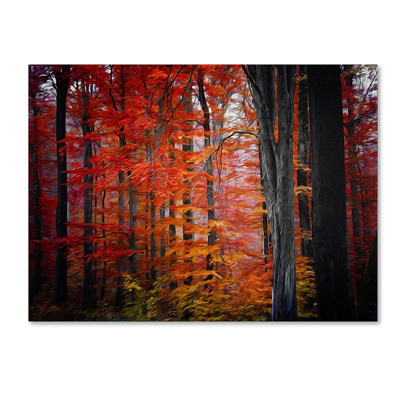 Trademark Fine Art 'No Particular Title' 16" x 24" Canvas Art image 1